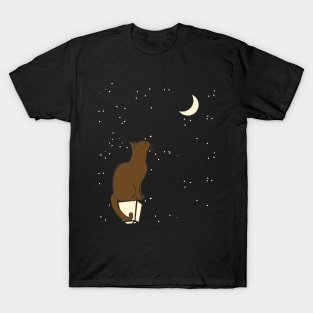 Cat Looking At Moon T-Shirt